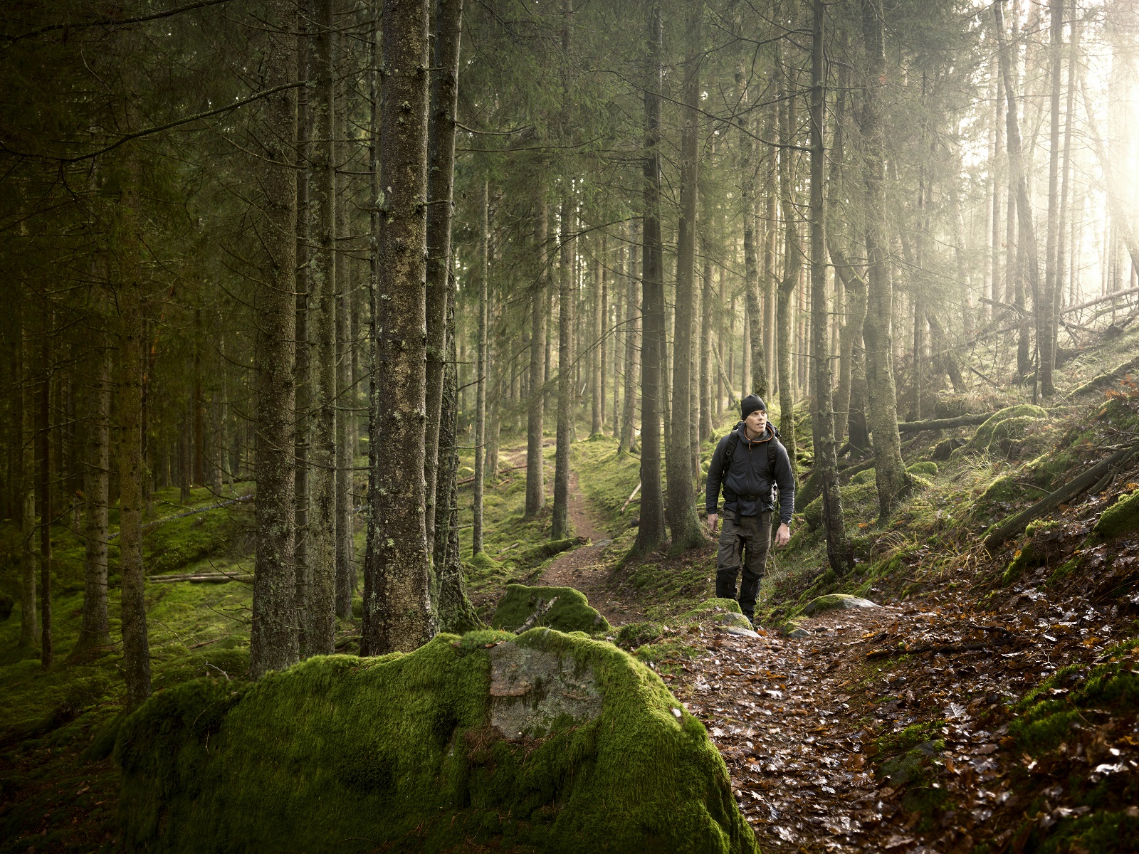 wandelaar in bos gebruikt de natuur als kompas
