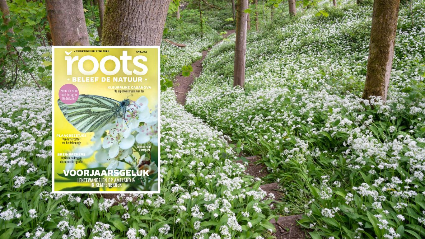 Roots april