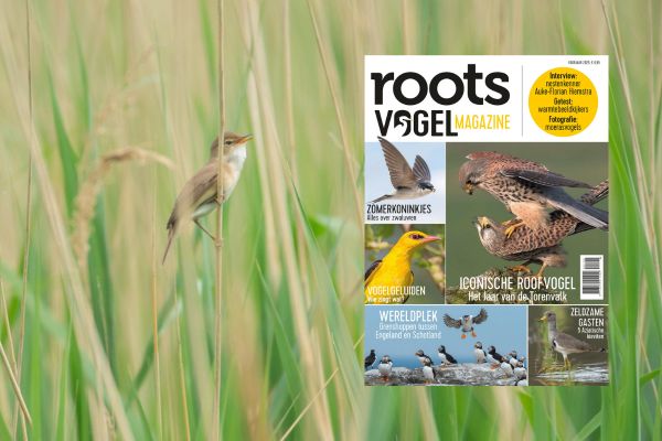 Roots Vogelmagazine voorjaar 2025