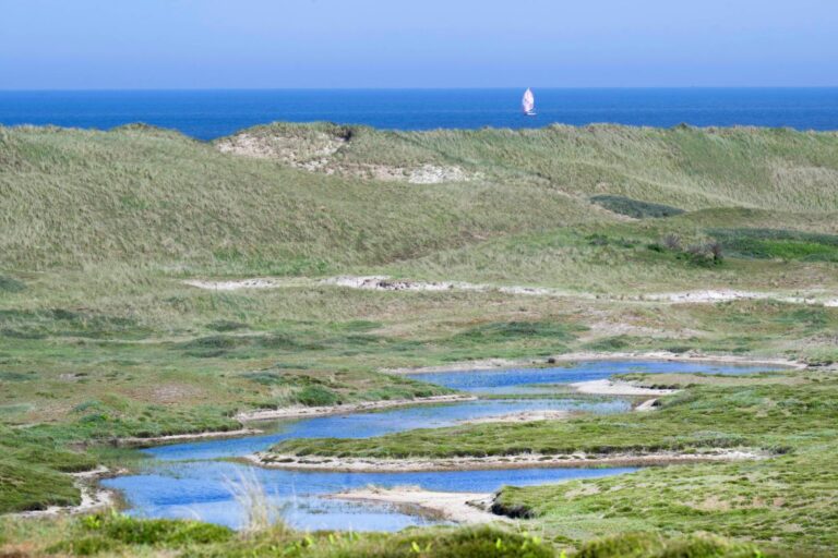 Schoorlse duinen