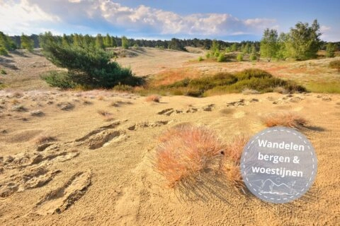 bijzondere wandelingen nederland