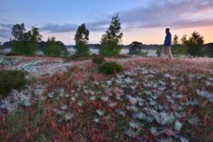 Wekeromse Zand