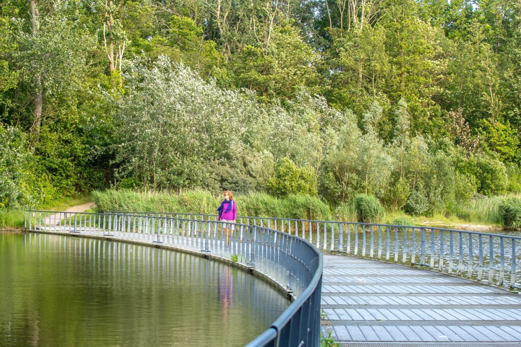 Pontonbrug bij Boswachterspad Veerse Bos