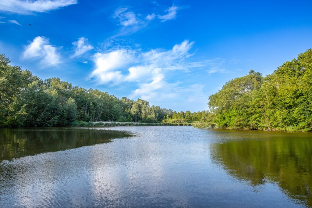 Boswachterspad Veerse Bos