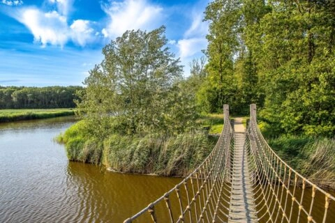 Touwbrug bij Boswachterspad Veerse Bos