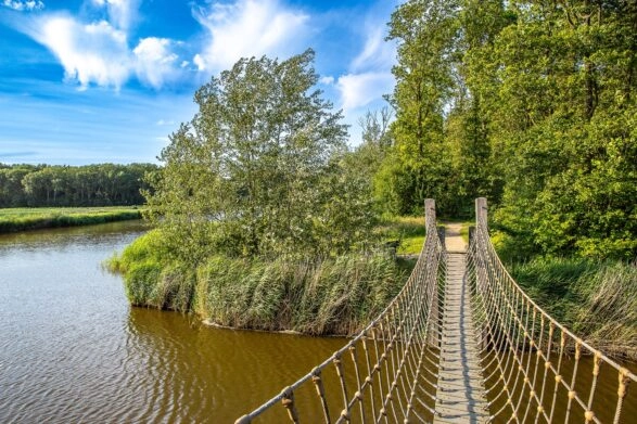Touwbrug bij Boswachterspad Veerse Bos