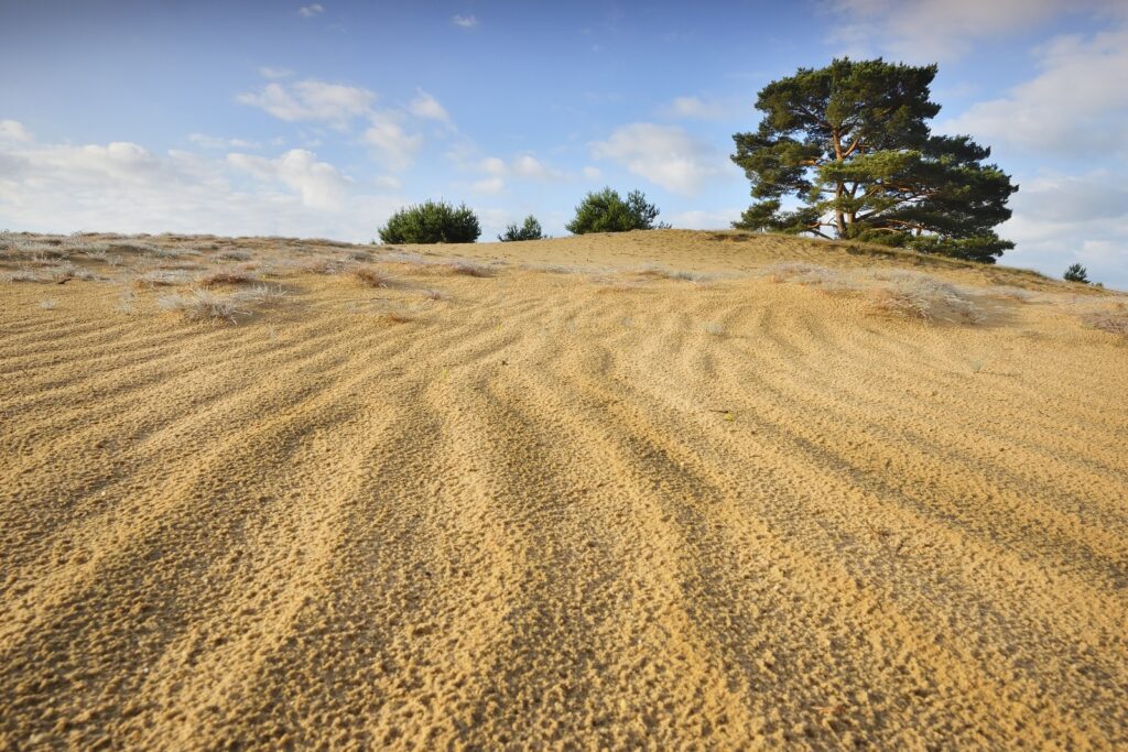 wekeromse zand