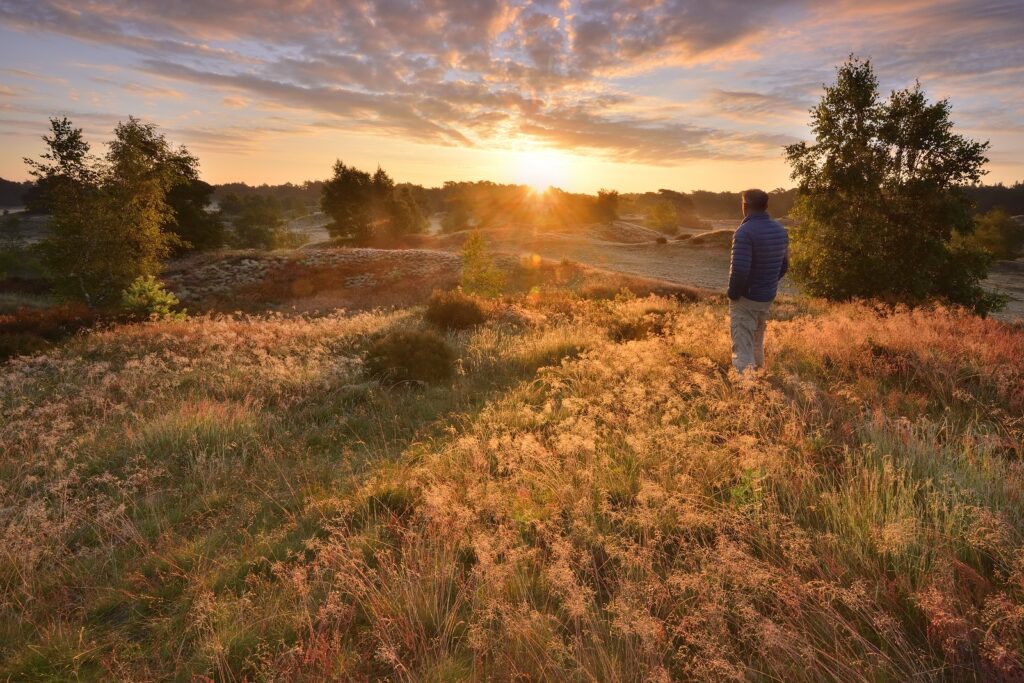 wekeromse zand