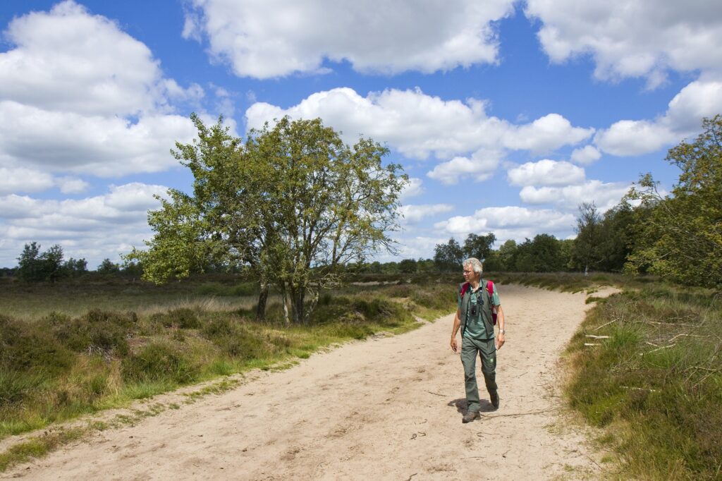 Boswachter Kees van Son op het Ballooërveld