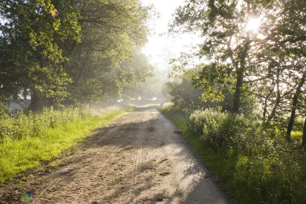 Zandweg bij schaapskooi Crabbeweg
