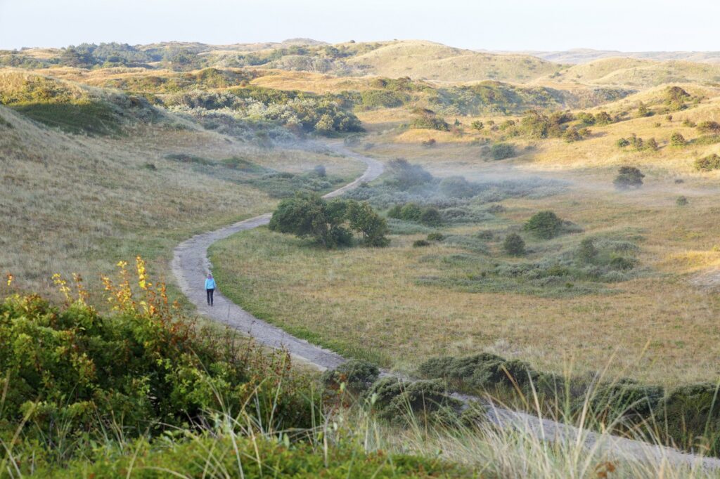 wandelaar in de vroege ochtend in de duinen