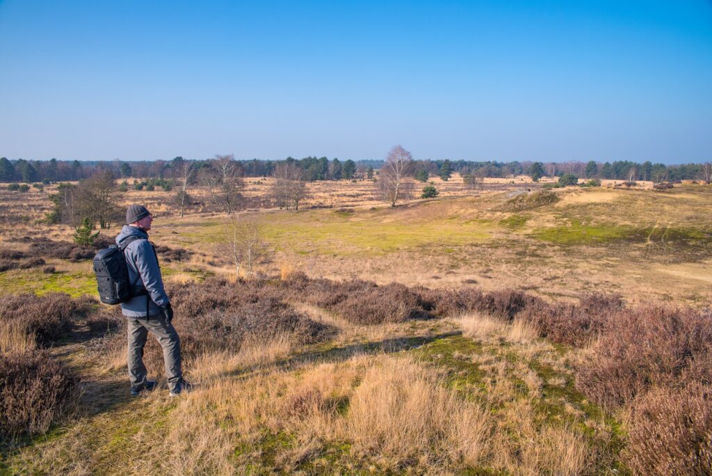 wandelaar kijkt uit over heide