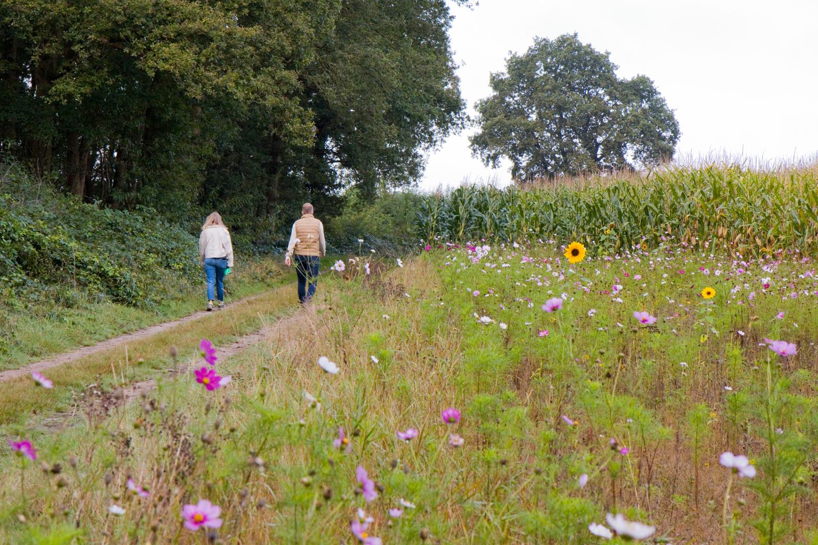 Boswachterspad Arriër-Esch