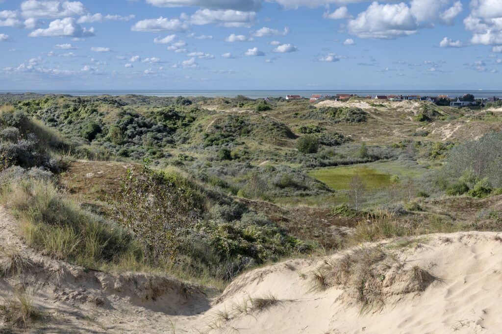 natuurreservaat De Westhoek in België