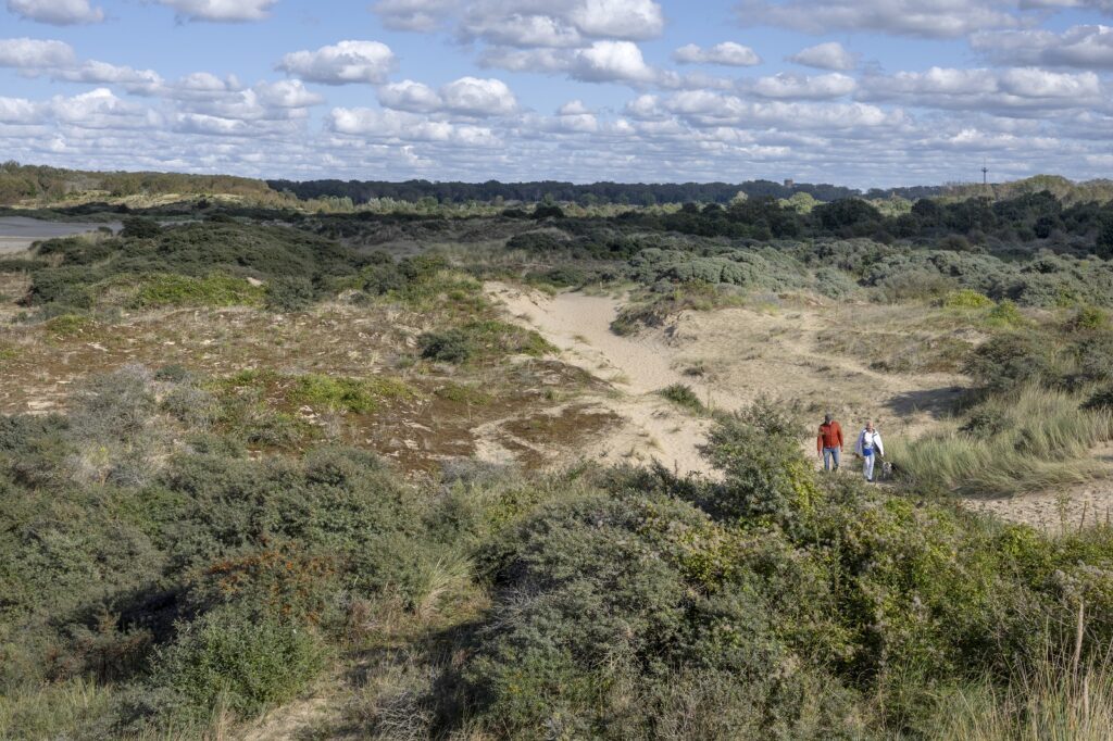 Wandelaars in de duinen van De Westhoek in België