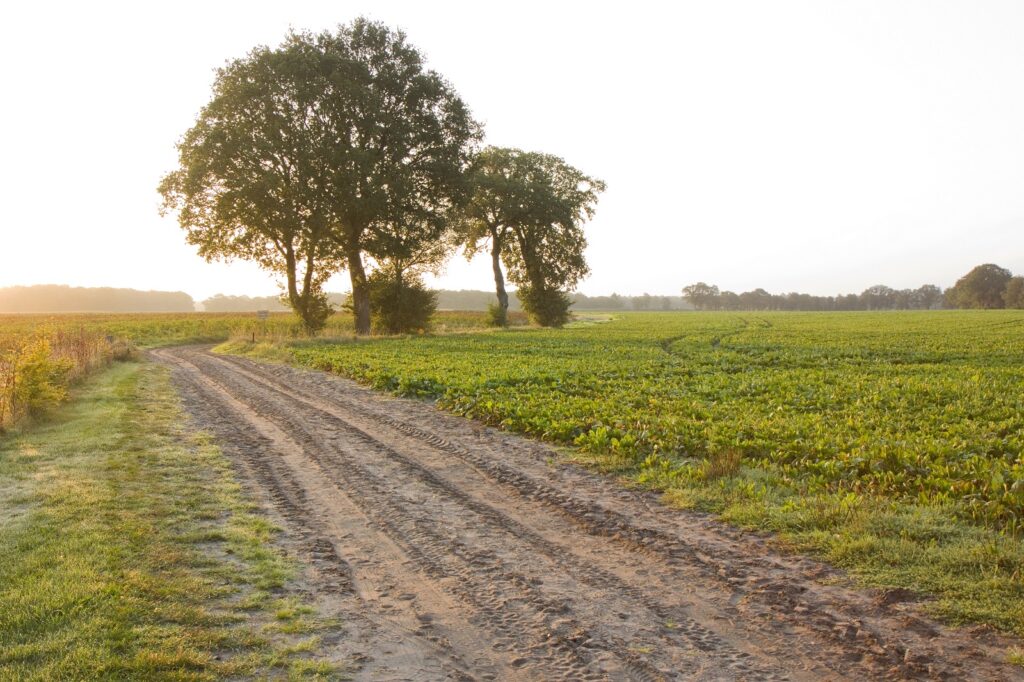 Arriëresweg bij buurtschap Arriën