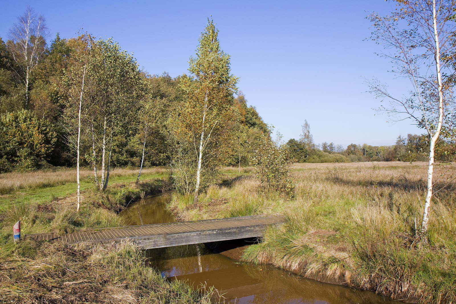 Boswachterspad Ter Wupping: het geheim van klein