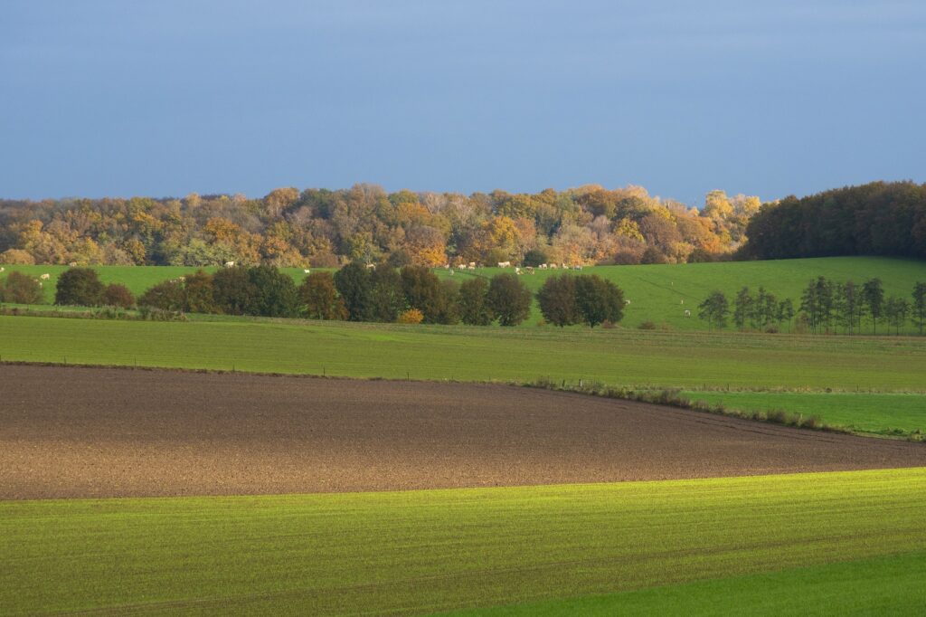 Uitzicht op Landgoed Nederrijk