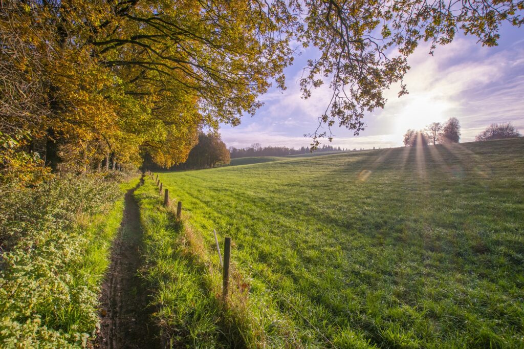 Wandelpaadje rond Nijmegen
