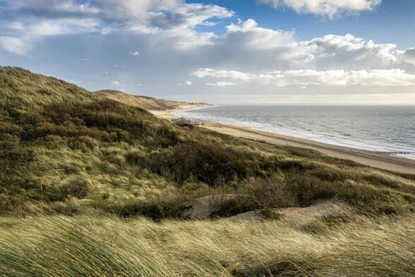 Duinen rond Zoutelande