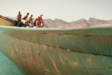 'Naar de Wildernis' 2026