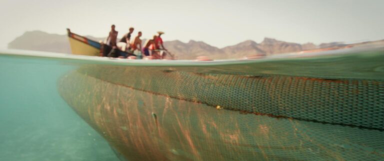 'Naar de Wildernis' 2026