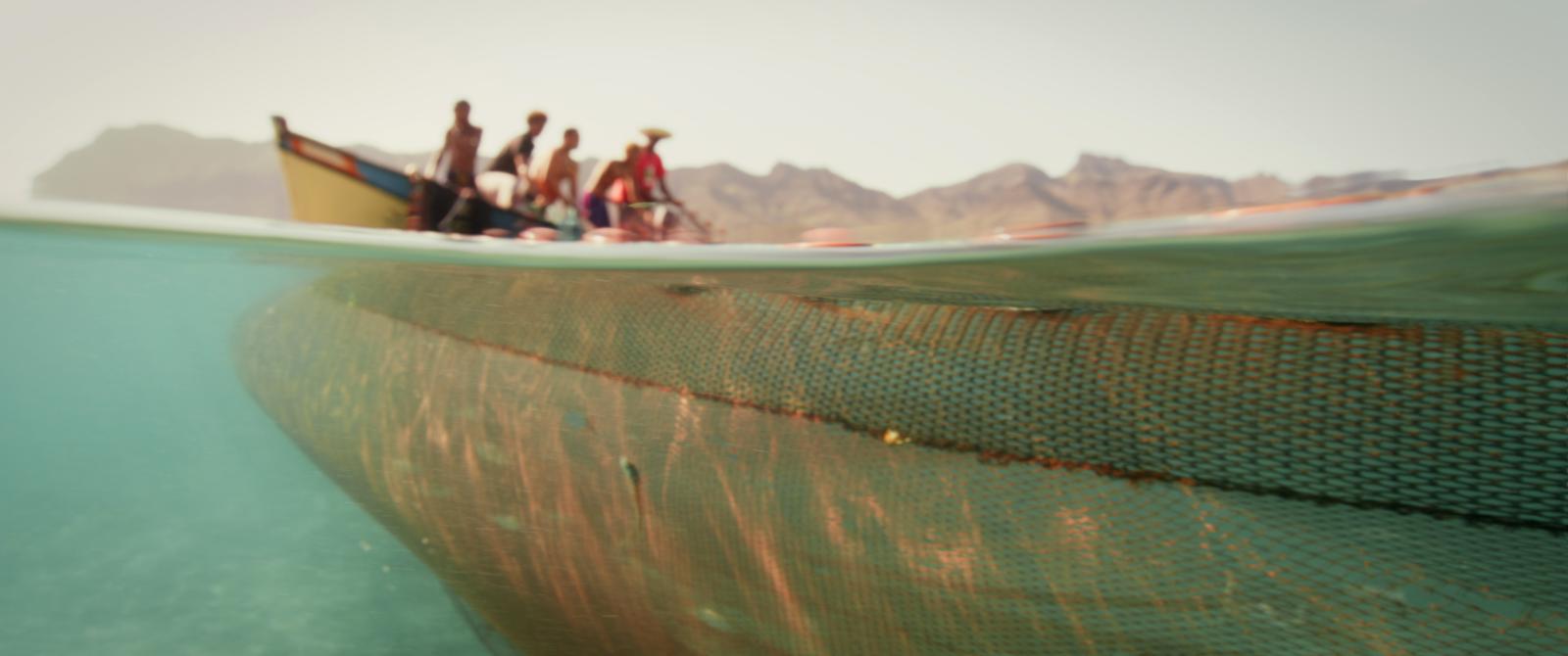 'Naar de Wildernis' 2026