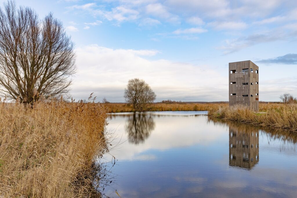 Uitkijktoren Roerdomp