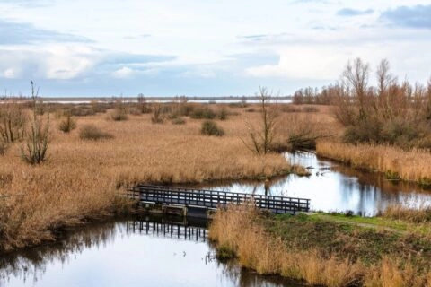 Uitzicht over de Oostvaardersplassen