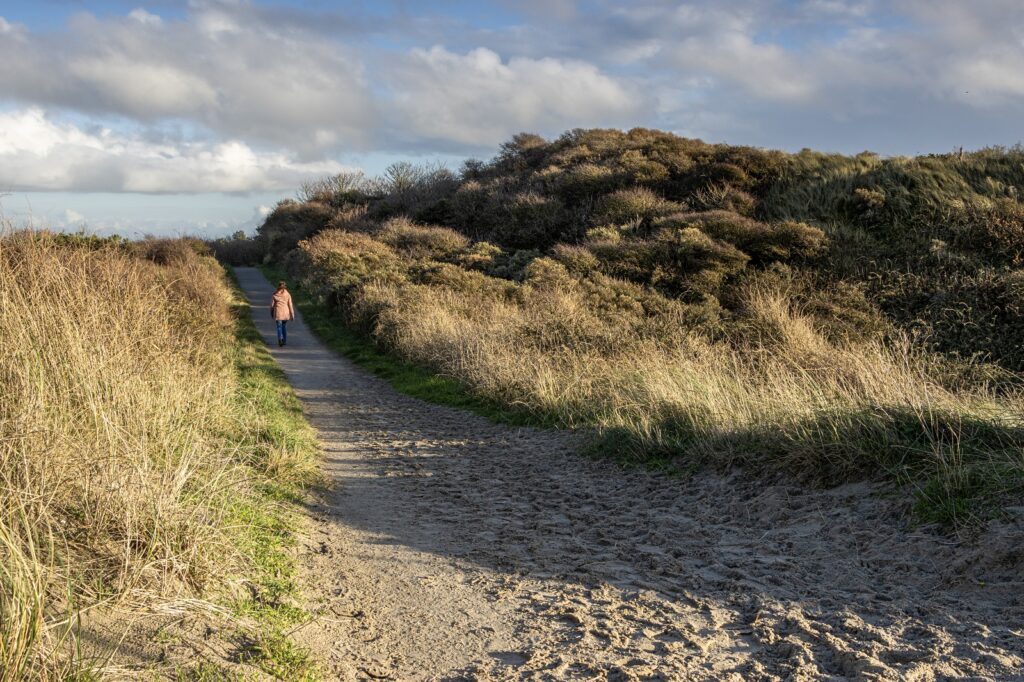 Wandelaar in duinen rond Zoutelande