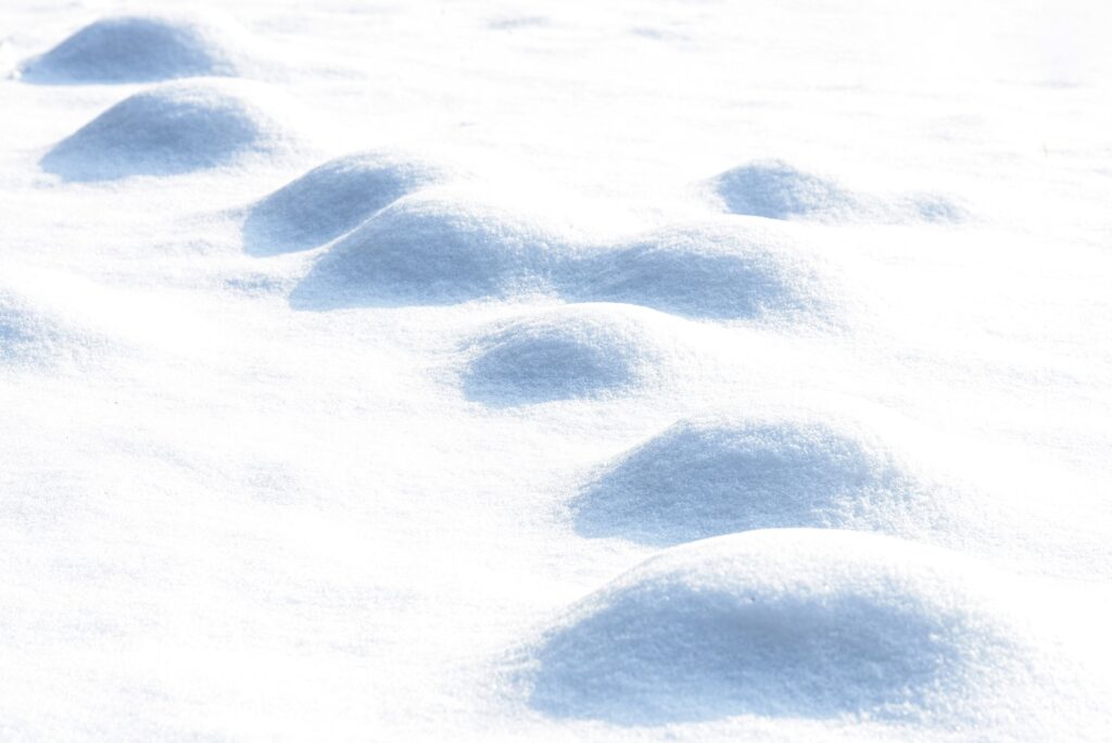 Molshopen in de sneeuw