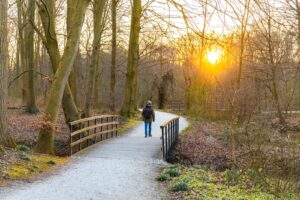 Boswachterspad Haagse Bos