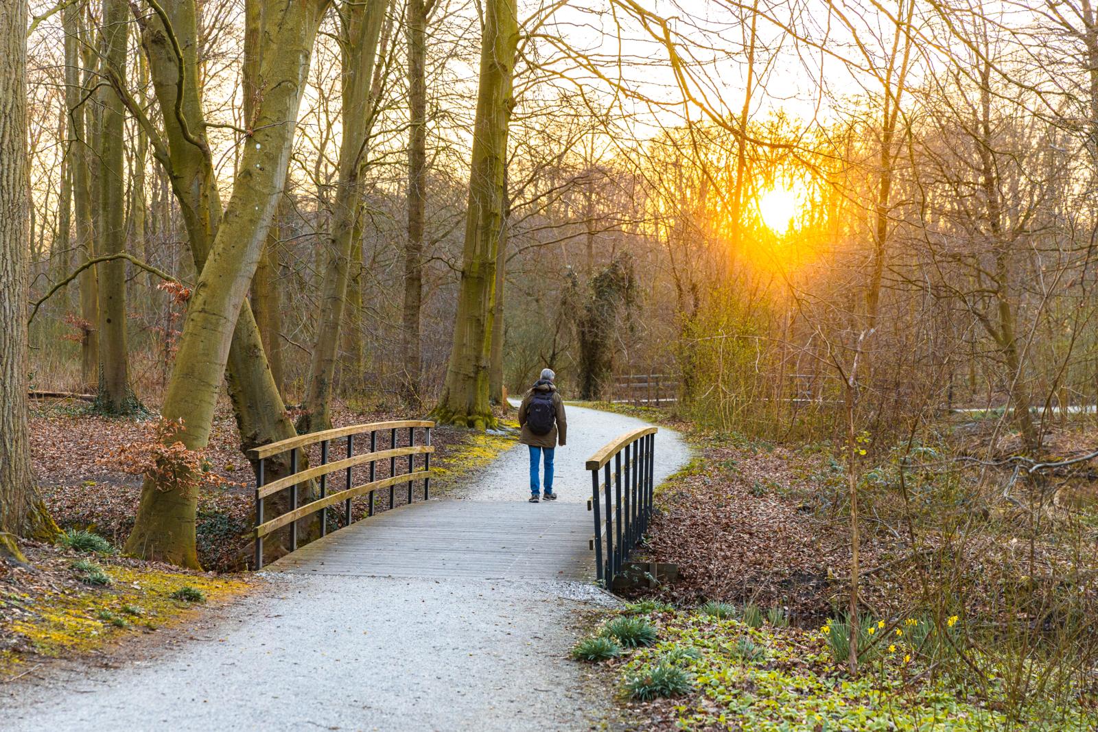 Boswachterspad Haagse Bos