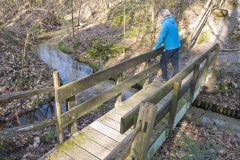 koppelsprengen met wandelaar