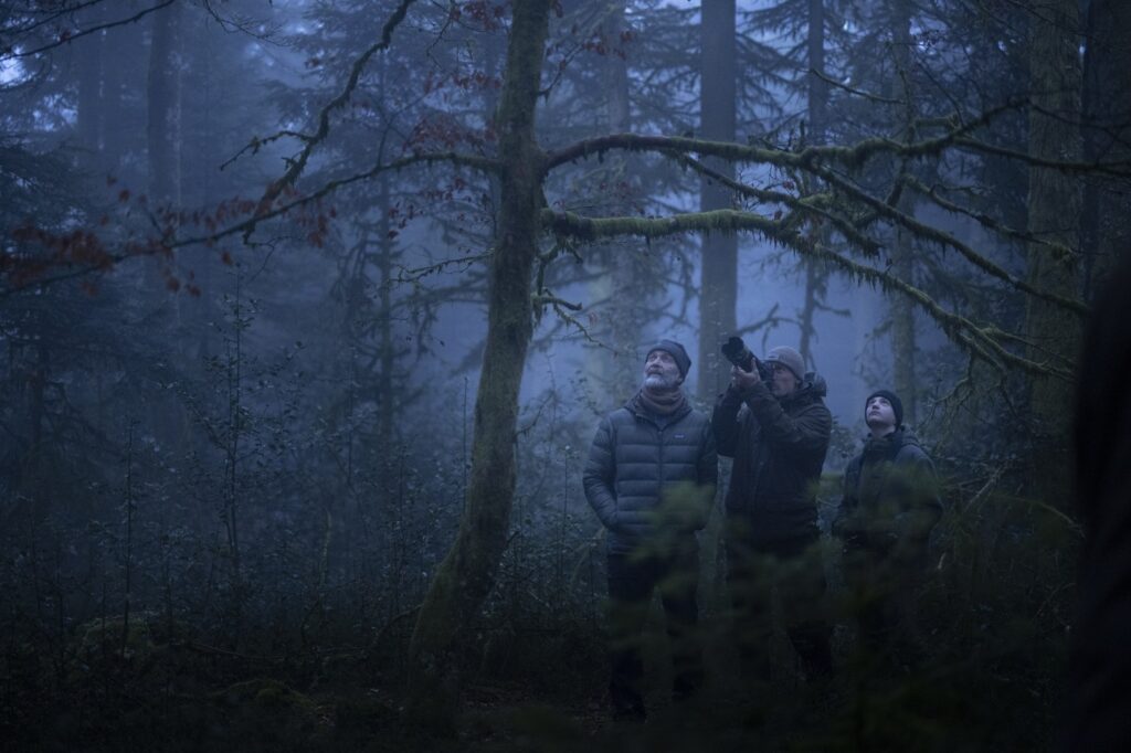 Whispers in the Woods 