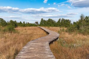 Mussenbaan De Groote Peel