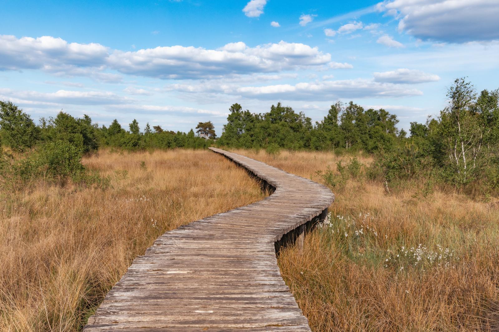 Mussenbaan De Groote Peel